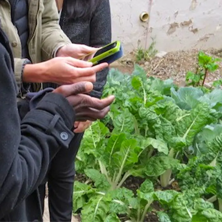 Food for Us: Reducing food waste using a cellphone app