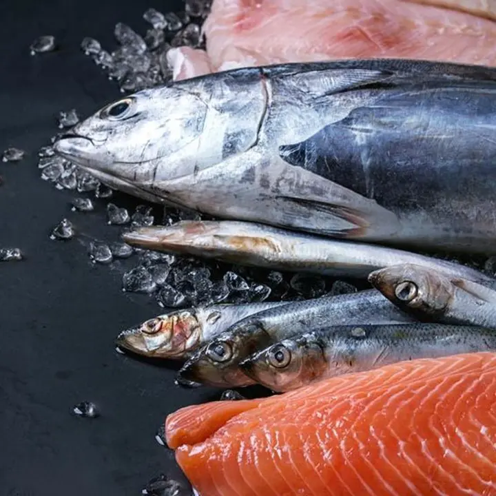 sustainable seafood consumption
