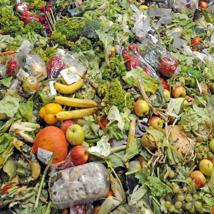 Food waste and food loss